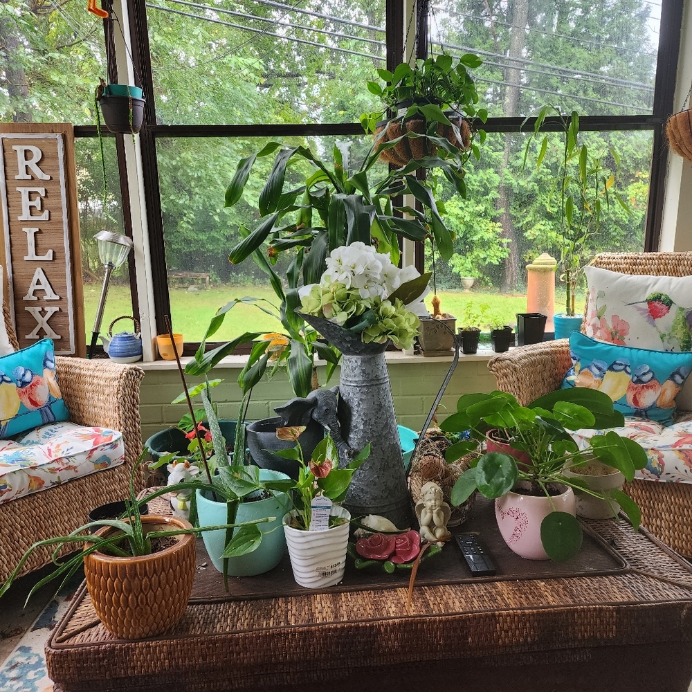 Meet your Posher, Karla-naomi